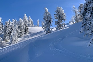 backcountry-ski-boise_Jesse-Weber.jpg